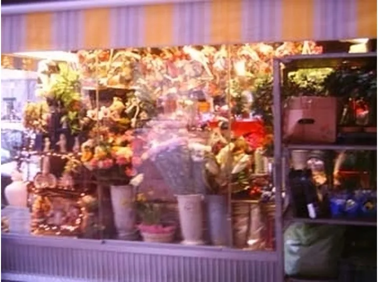 fiori per congratulazioni-3