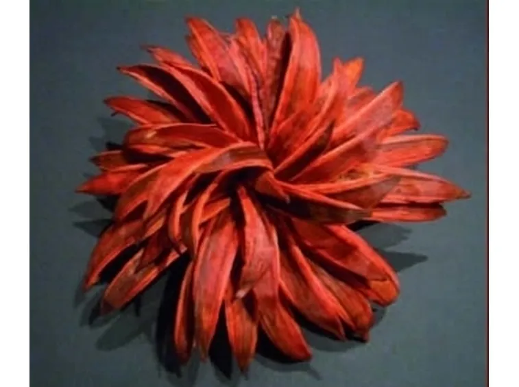 fiori per fiocco azzurro-3