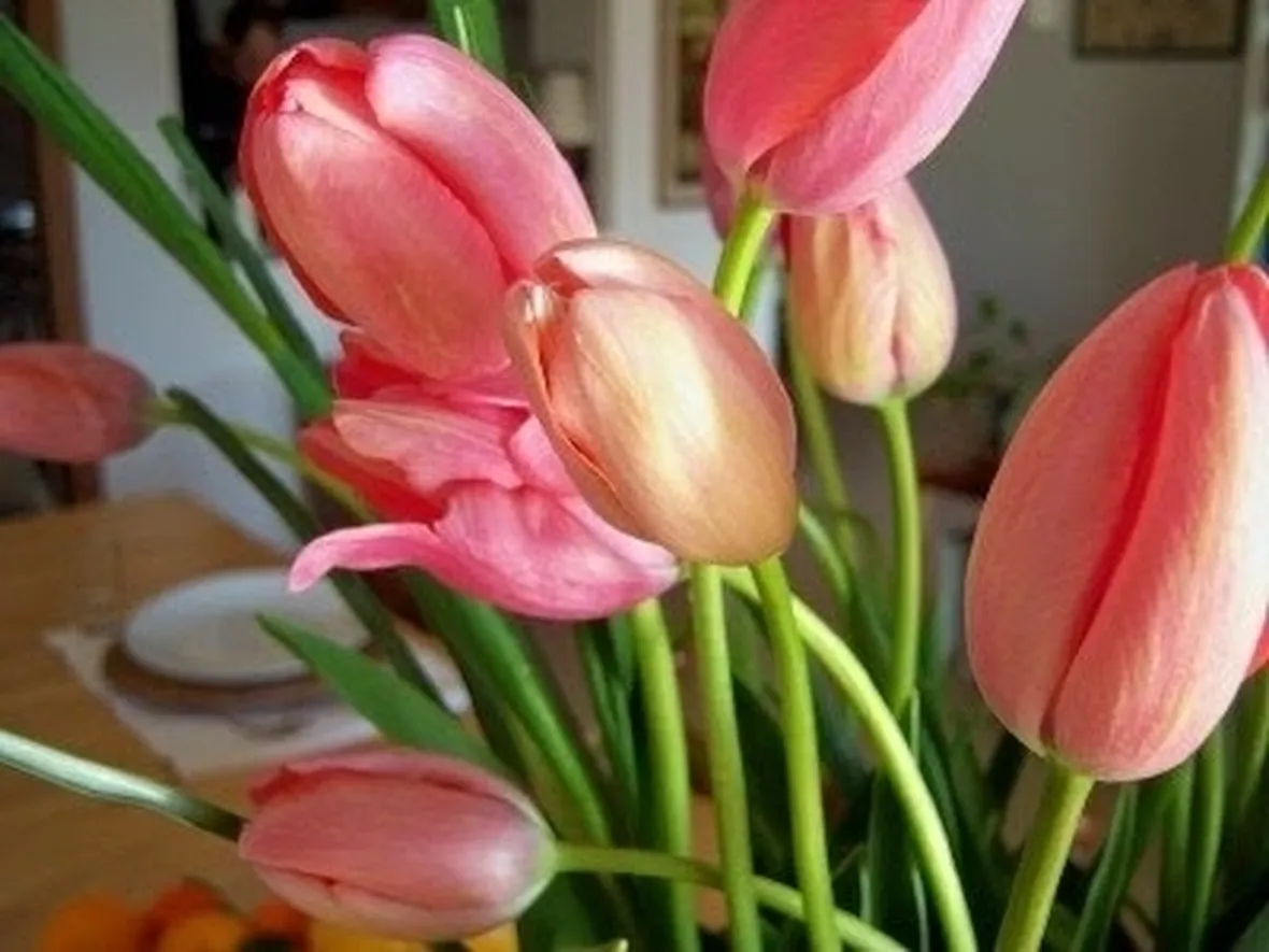 fiori per lui