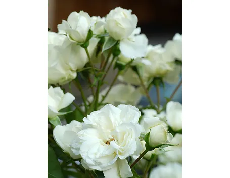 fiori per nozze-1