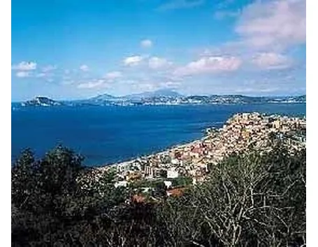 fiori Pozzuoli