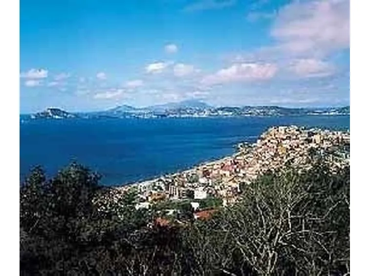 fiori Pozzuoli