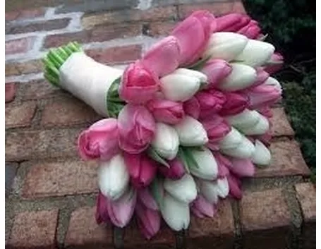 fiori Rho