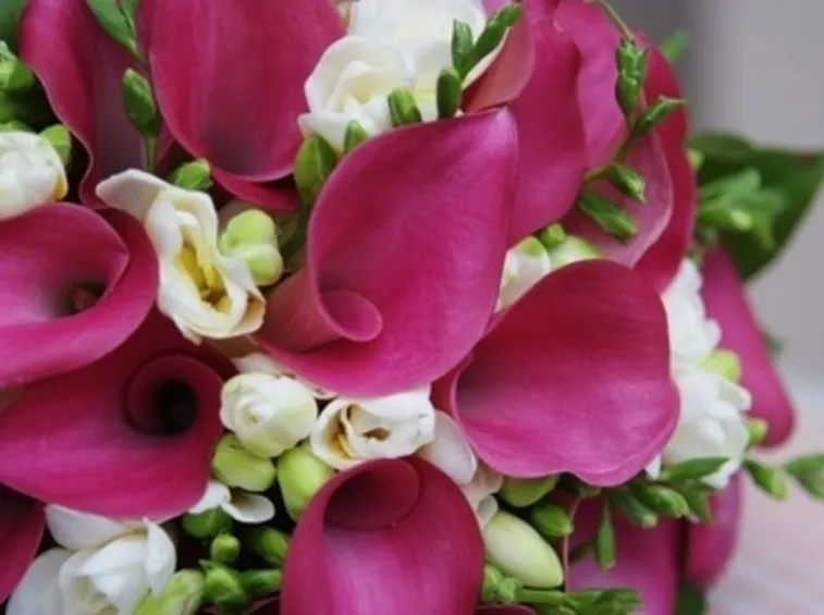 invio fiori per lei-2