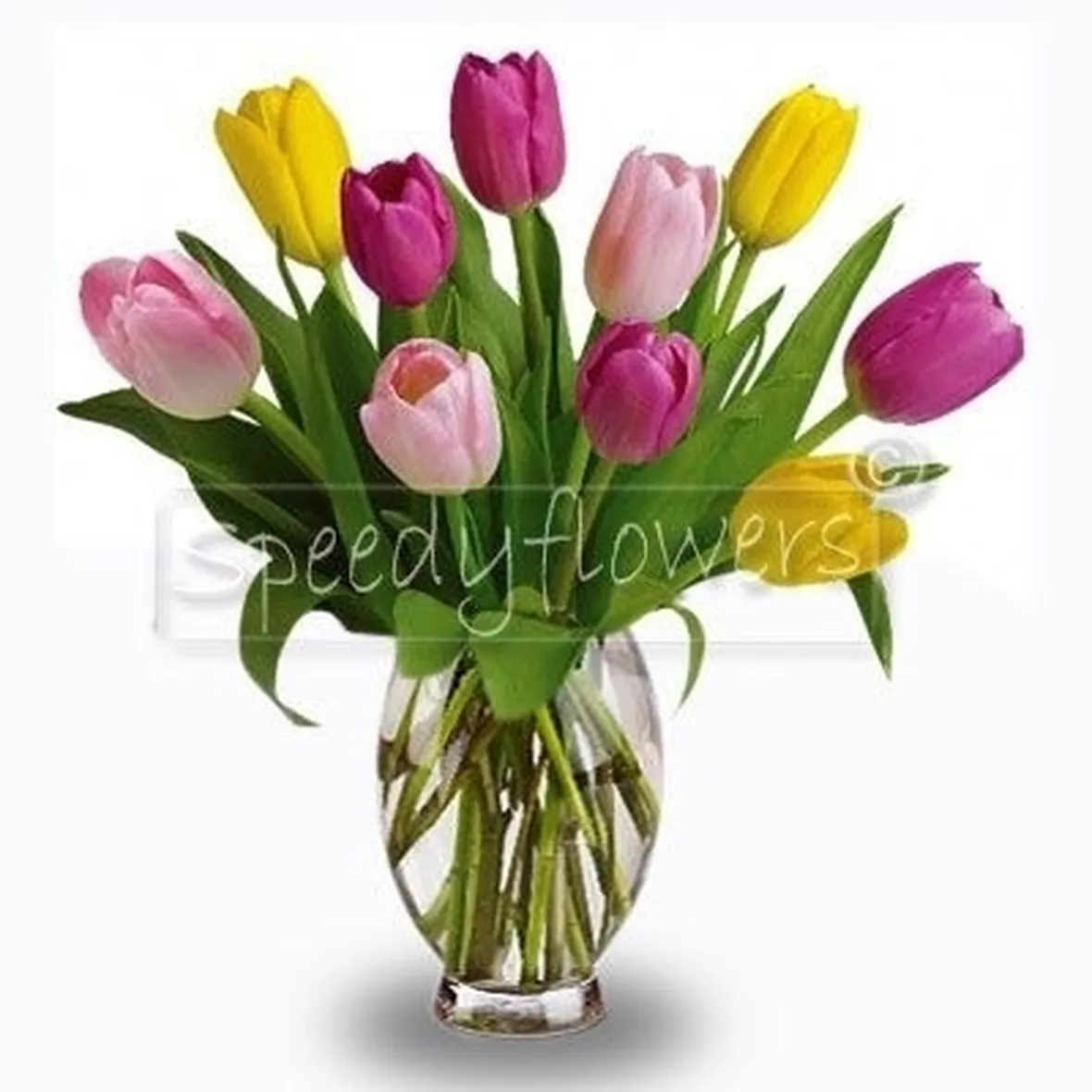 invio fiori per lui-2