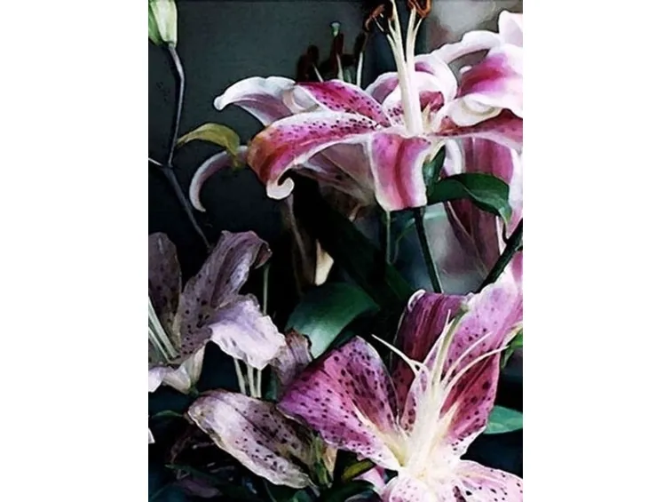 invio fiori per nascita-2