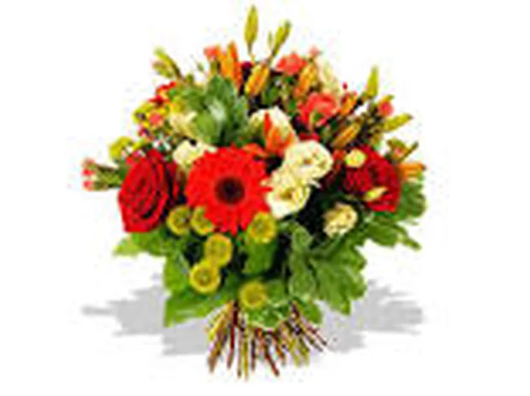 mazzi per mi dispiace-1