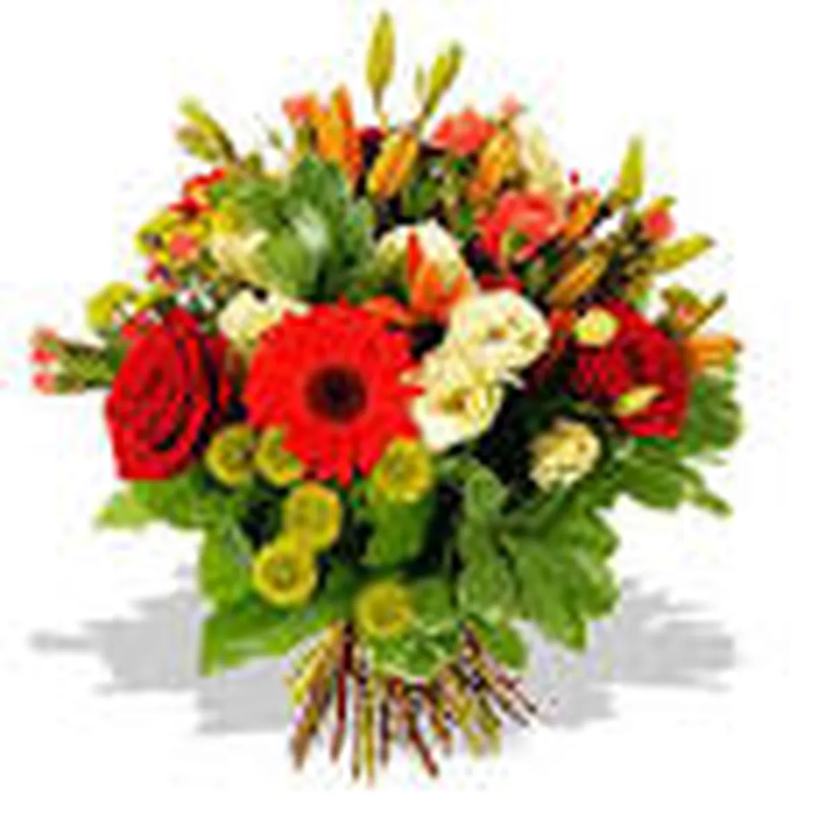 mazzi per mi dispiace-1
