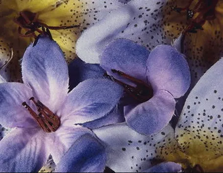 spedire fiori Brescia-1