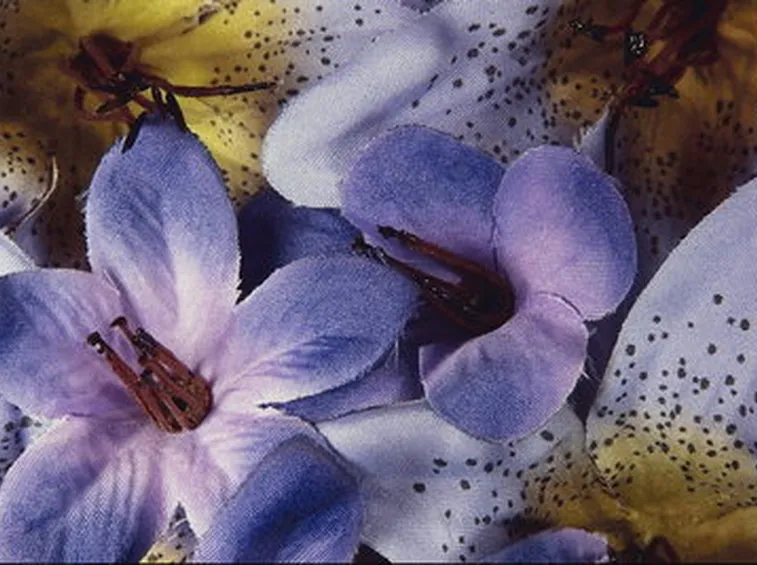 spedire fiori Brescia-1