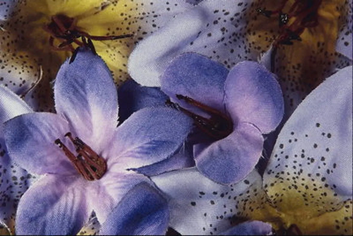 spedire fiori Brescia-1