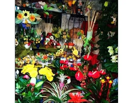 spedizione fiori Giugliano in Campania