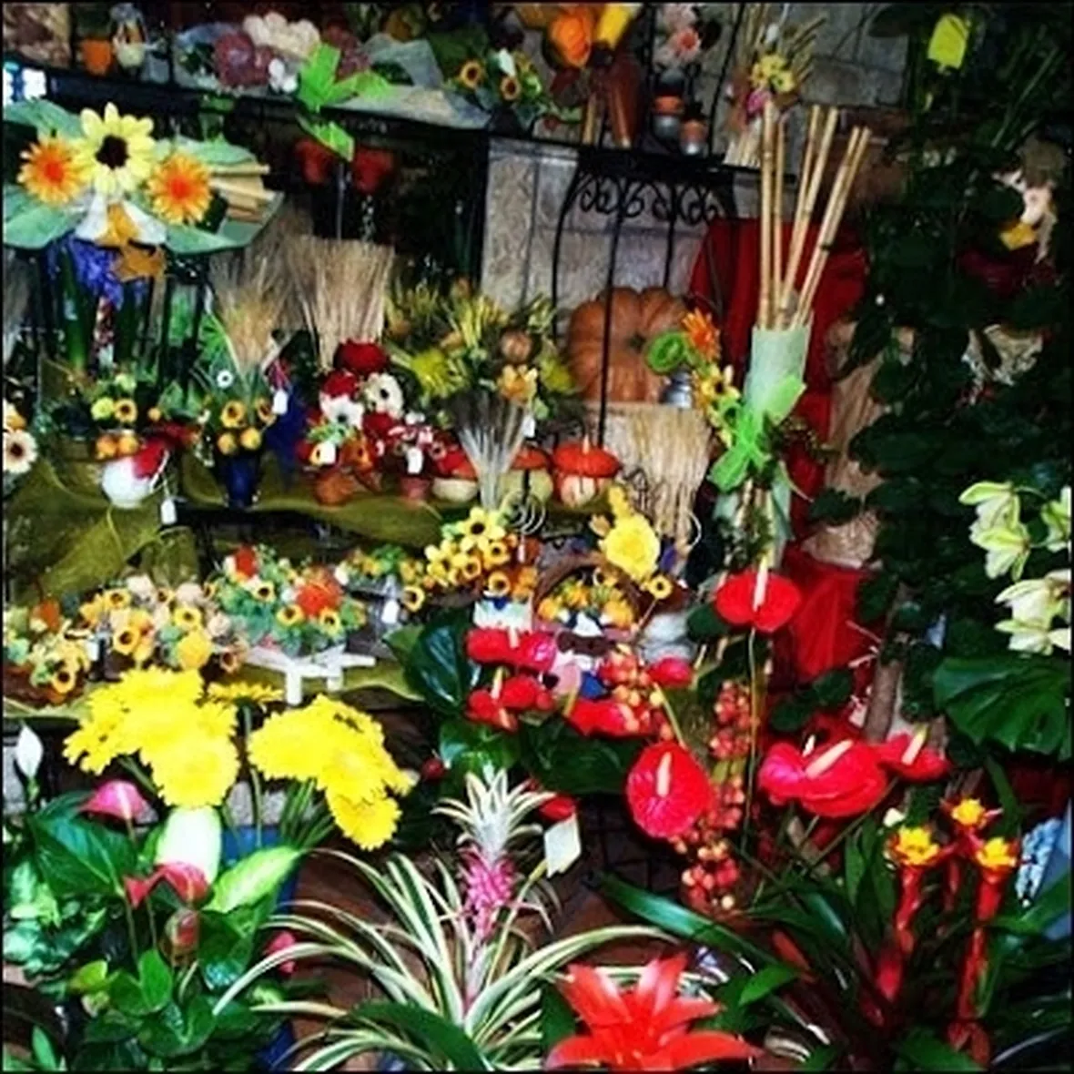 spedizione fiori Giugliano in Campania