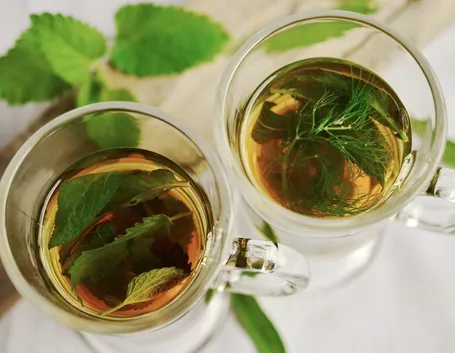 Come e quando preparare le tisane depurative