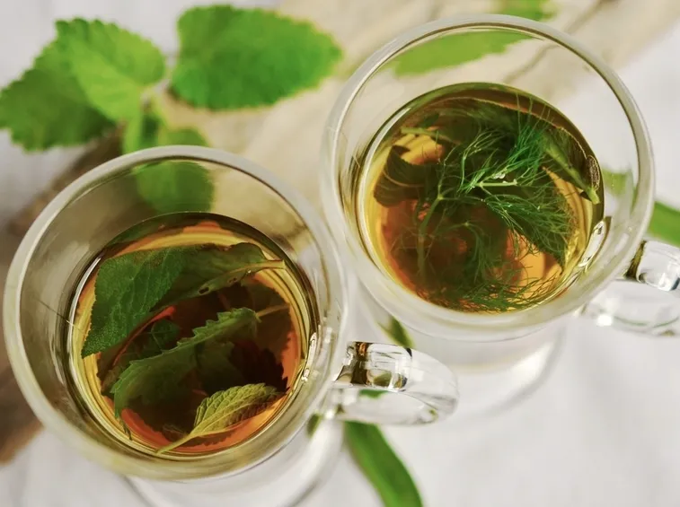 Come e quando preparare le tisane depurative