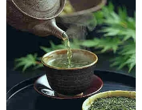 DIFETTI DELL'INFUSO DI MENTA