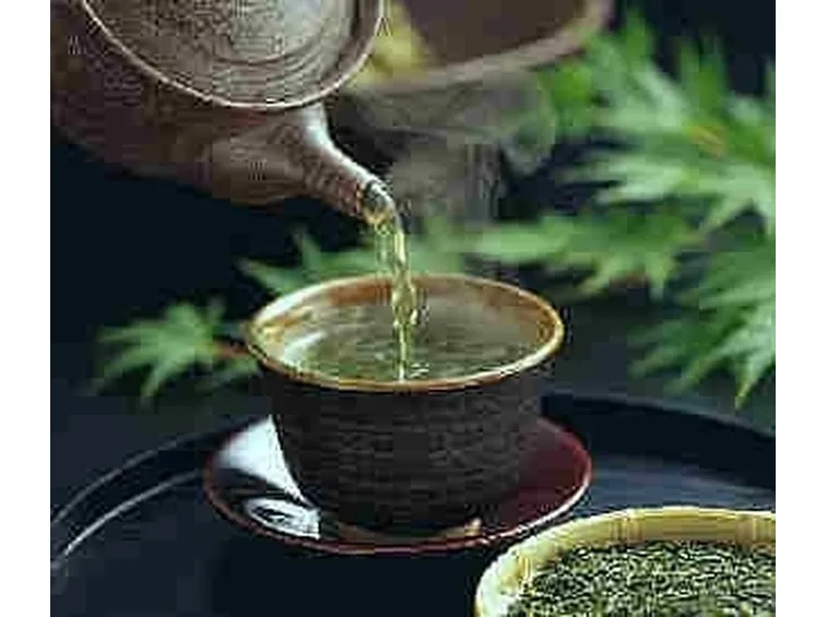 DIFETTI DELL'INFUSO DI MENTA