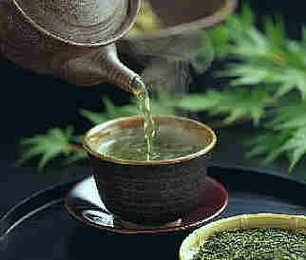 DIFETTI DELL'INFUSO DI MENTA
