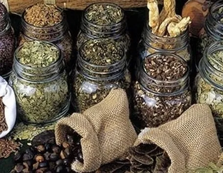 erbe medicinali-2