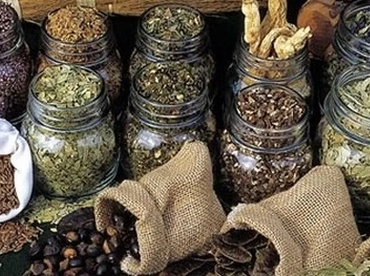 erbe medicinali-2