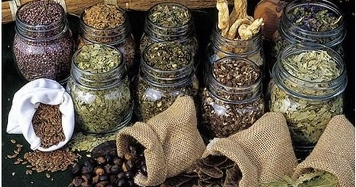 erbe medicinali-2