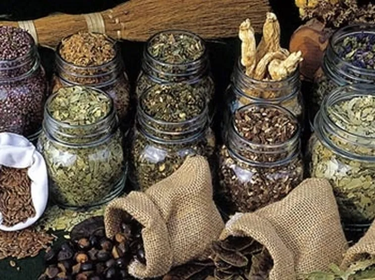 erbe medicinali-4