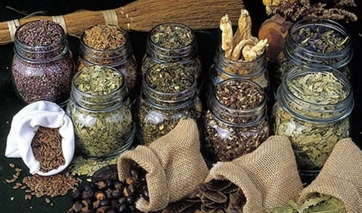 erbe medicinali-4