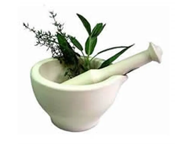erbe medicinali