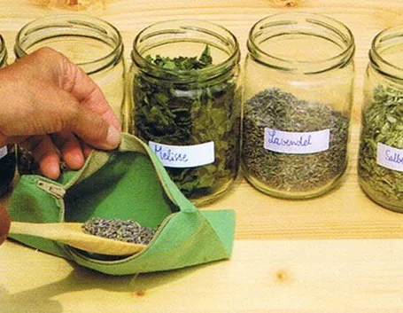 erbe officinali-3