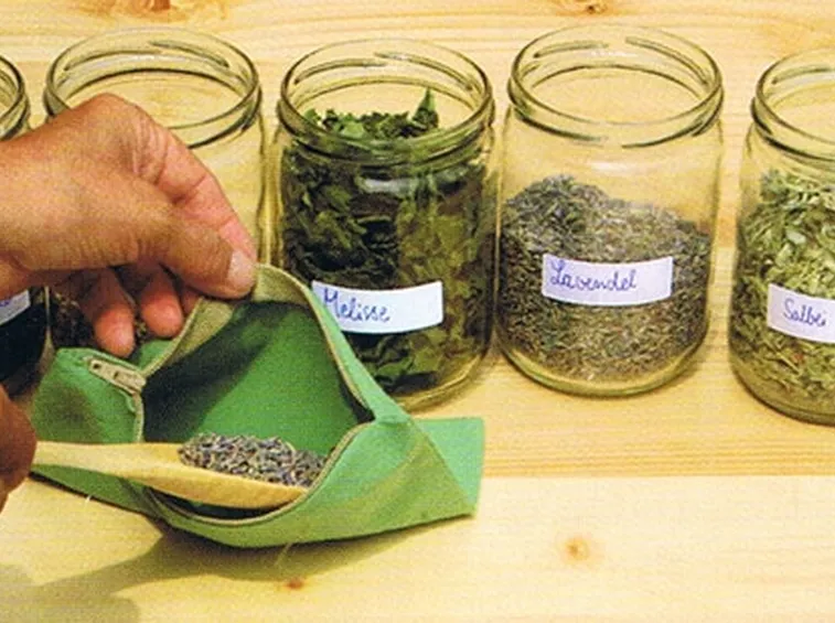 erbe officinali-3