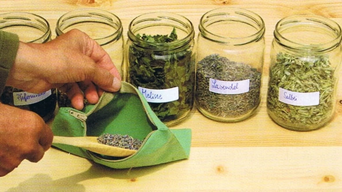 erbe officinali-3
