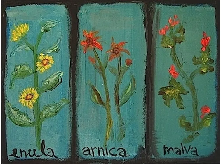 erbe officinali-6