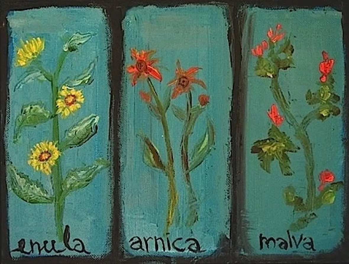 erbe officinali-6
