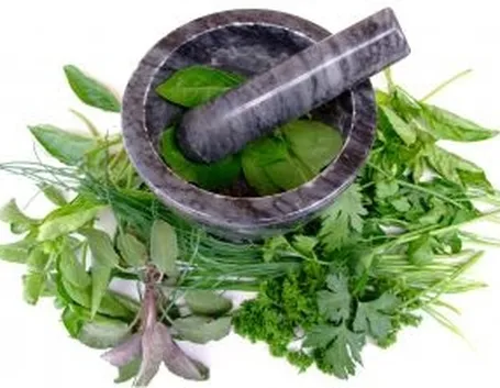 fitoterapia