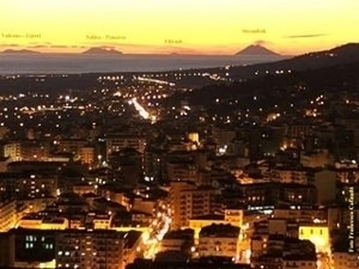consegna fiori Lamezia Terme