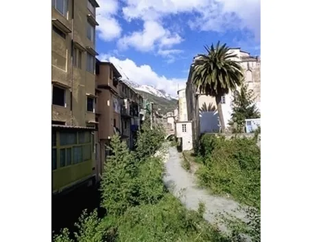 fiori a domicilio Carrara