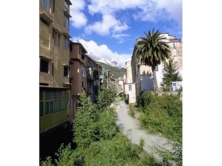 fiori a domicilio Carrara