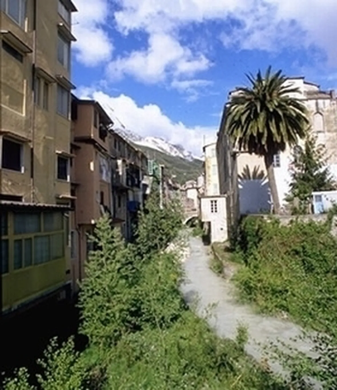 fiori a domicilio Carrara