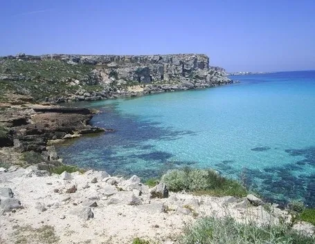 fiori a domicilio Trapani