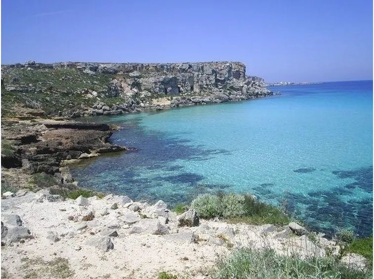fiori a domicilio Trapani