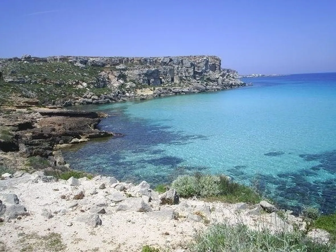 fiori a domicilio Trapani