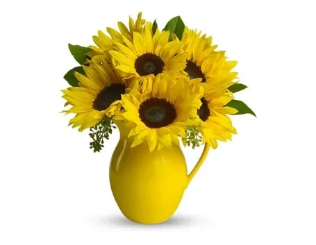 invio fiori Ferrara
