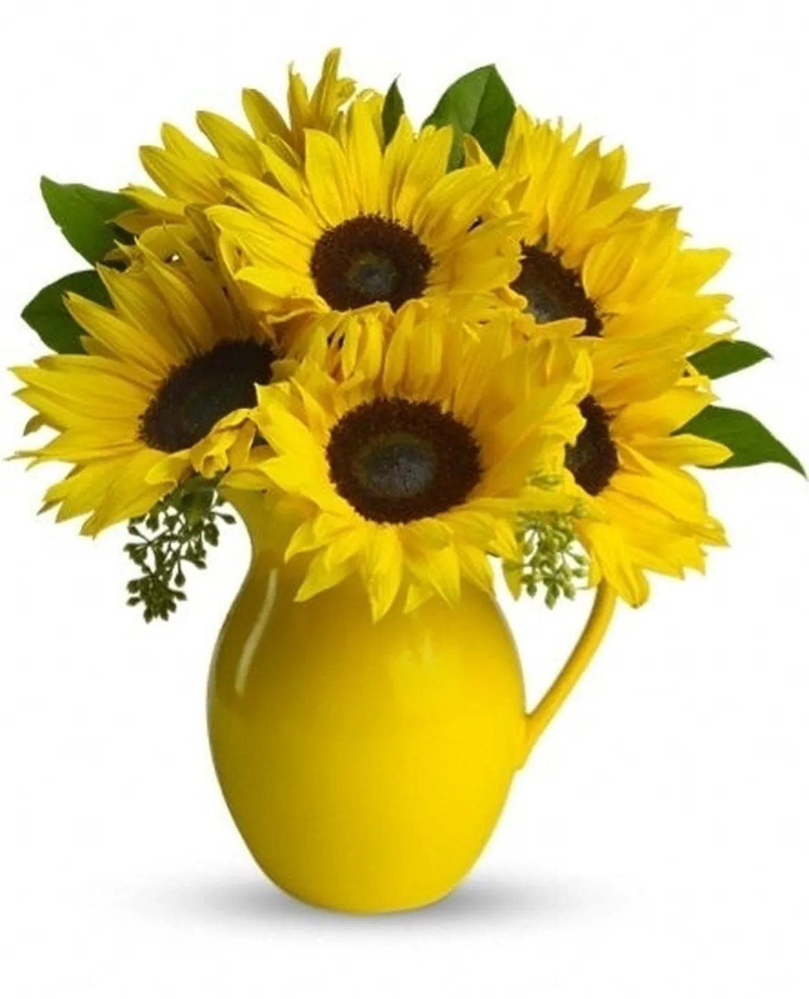 invio fiori Ferrara