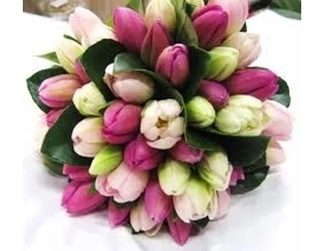 spedire fiori a Foggia