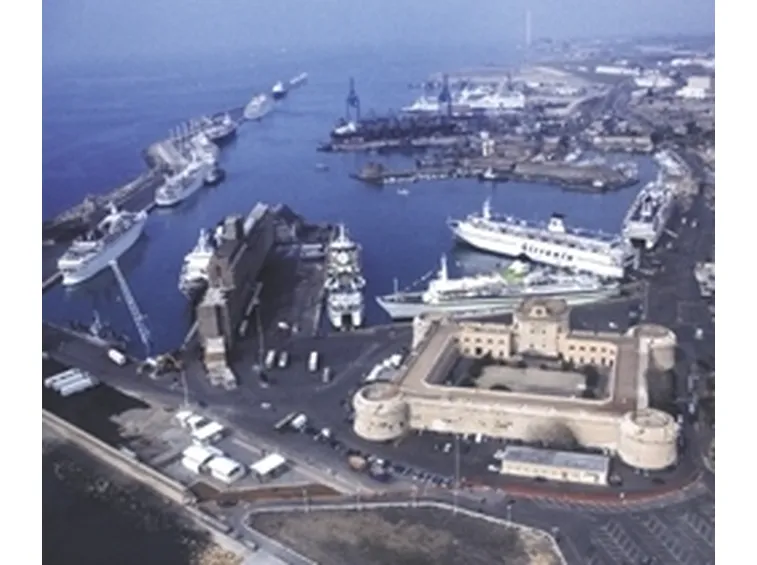 fiori a domicilio Civitavecchia