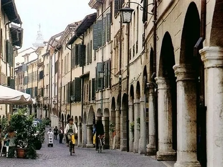 fiori a domicilio Gallarate