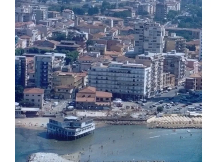 fiori Aversa