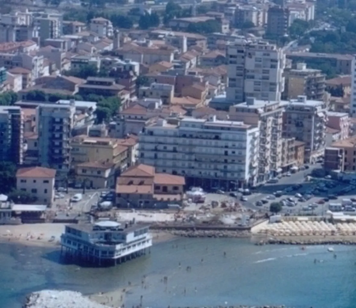 fiori Aversa