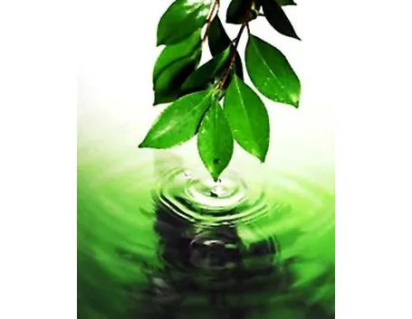 olio di neem