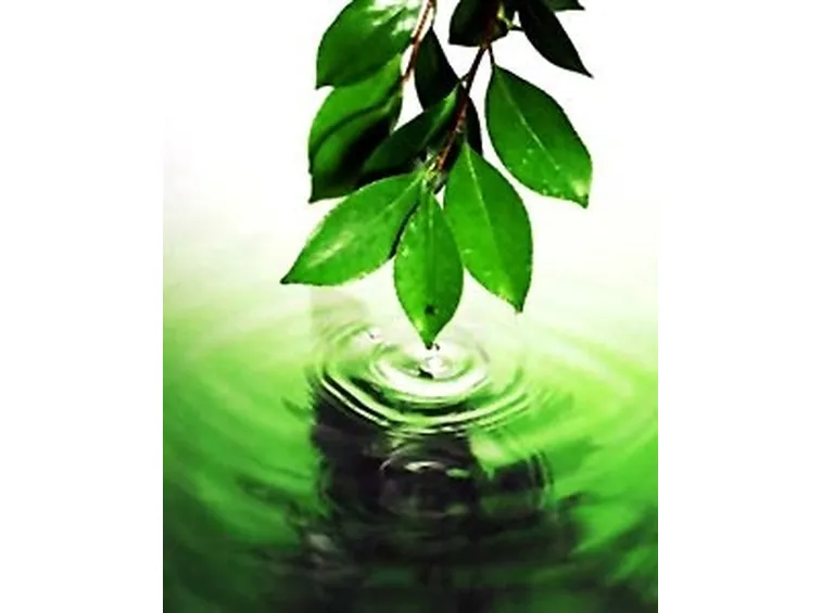 olio di neem